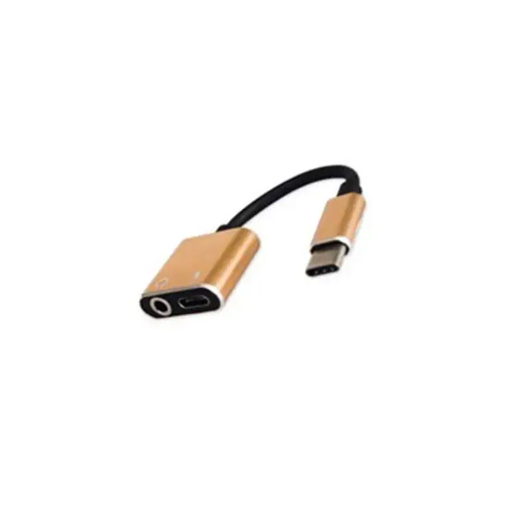 Type-C to 3.5mm 2-in-1 Charging Cable