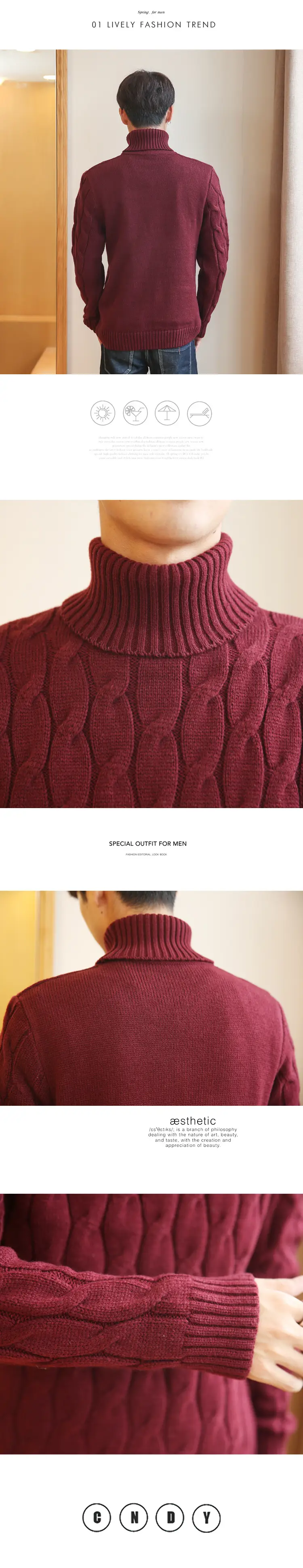 Men Maroon Turtleneck Long Sleeve Sweater — feature 4