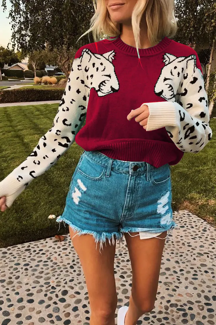 Women Leopard Print Long Sleeve Knit Sweater Grey — feature 6