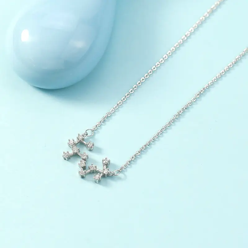 Twelve Constellation Necklace for Women Astrological Symbol - Image 14