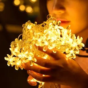 Nordic House LED String Lights for Bedroom Decor — feature 16
