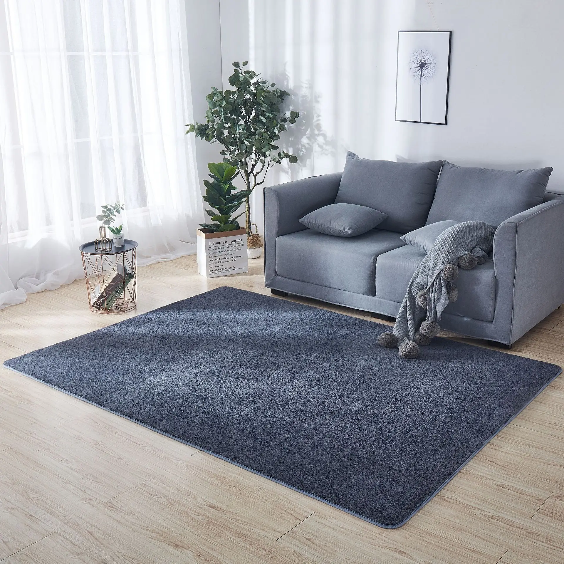 Cross-Border Dropshipping Plush Carpet Floor Mat Living Room Bedroom — feature 1