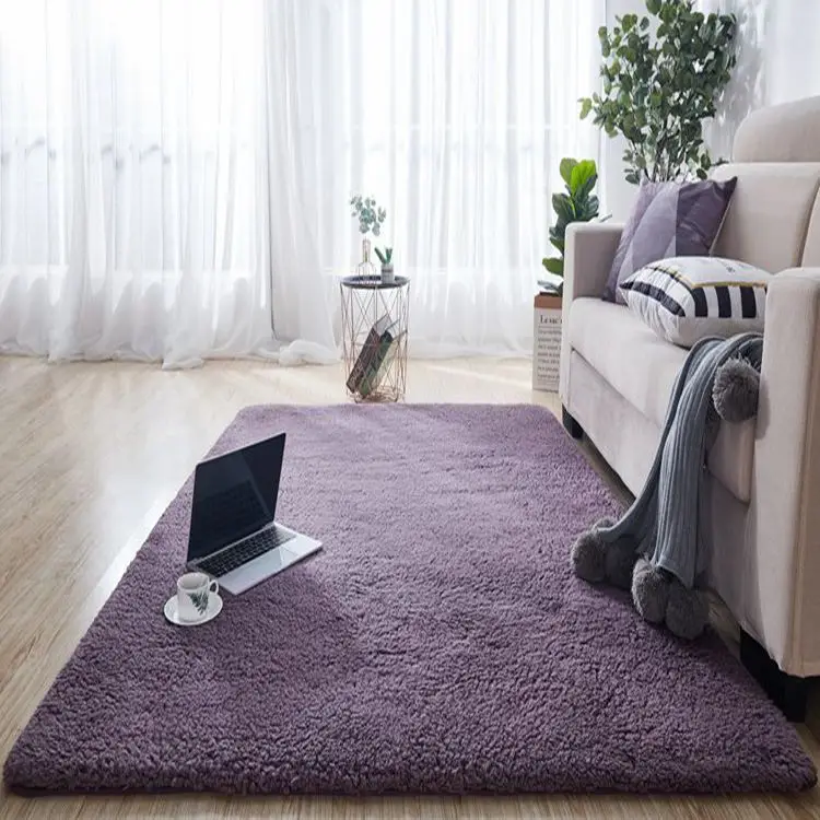 Cross-Border Dropshipping Plush Carpet Floor Mat Living Room Bedroom — feature 4