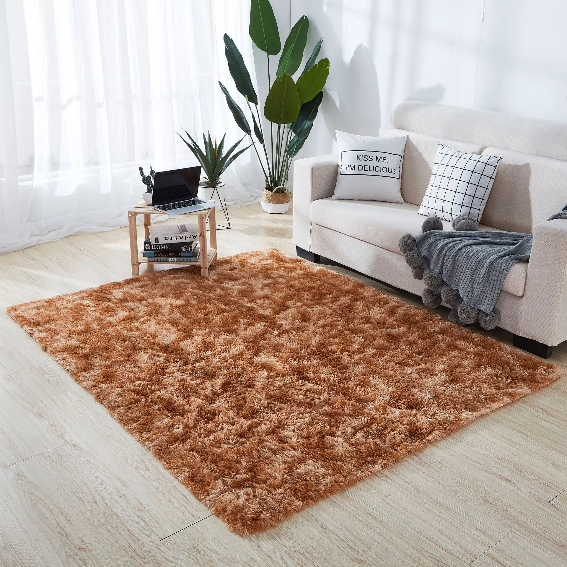 Cross-Border Dropshipping Plush Carpet Floor Mat Living Room Bedroom