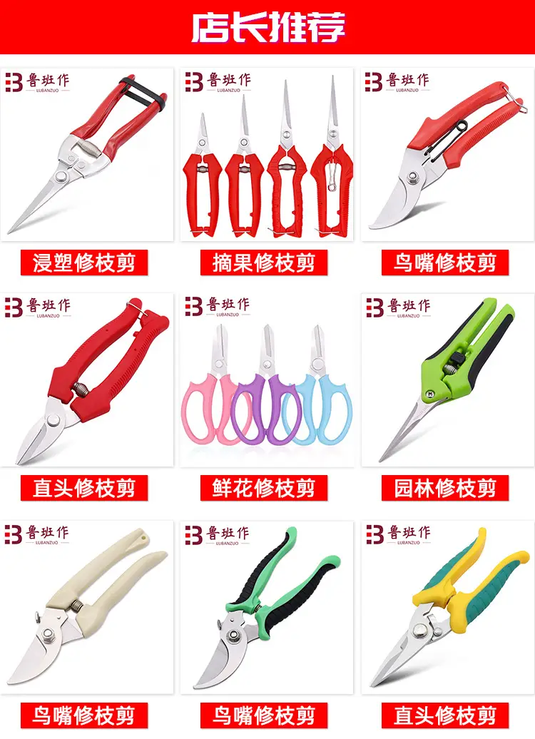Powerful Pruning Shears for Fruit Trees, Fruit Picking, Flower Pruning Scissors, Household Gardening Flower Pot Scissors, Garden Tools Wholesale — feature 1