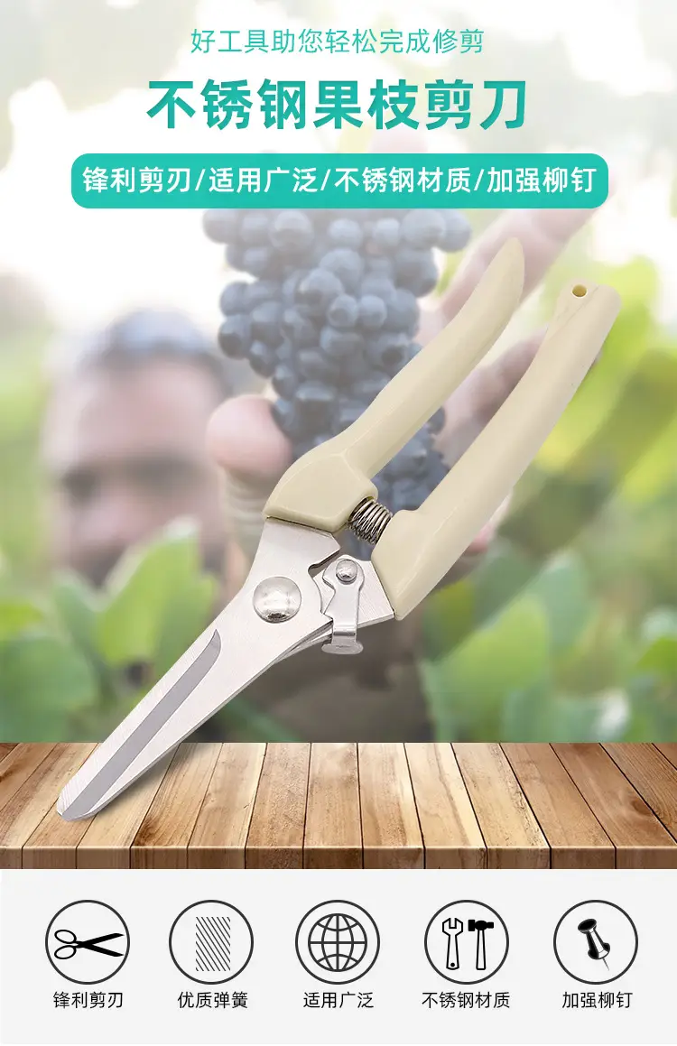 Powerful Pruning Shears for Fruit Trees, Fruit Picking, Flower Pruning Scissors, Household Gardening Flower Pot Scissors, Garden Tools Wholesale — feature 13