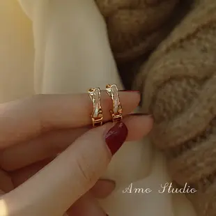 S925 Silver Hook Earrings for Women — feature 11