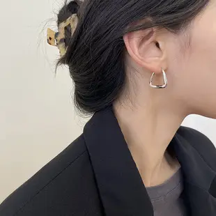 S925 Silver Hook Earrings for Women — feature 15