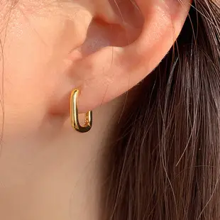 S925 Silver Hook Earrings for Women — feature 9