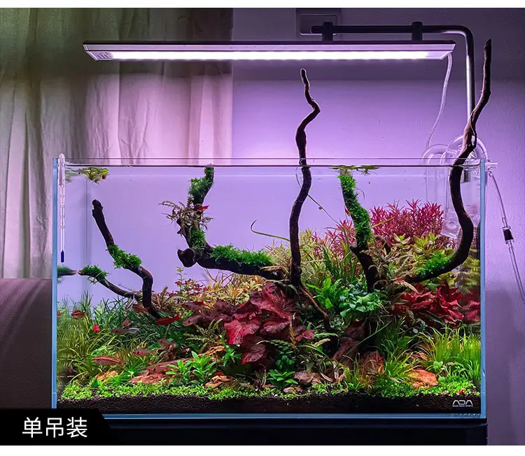 M-PRO详情_38.jpg