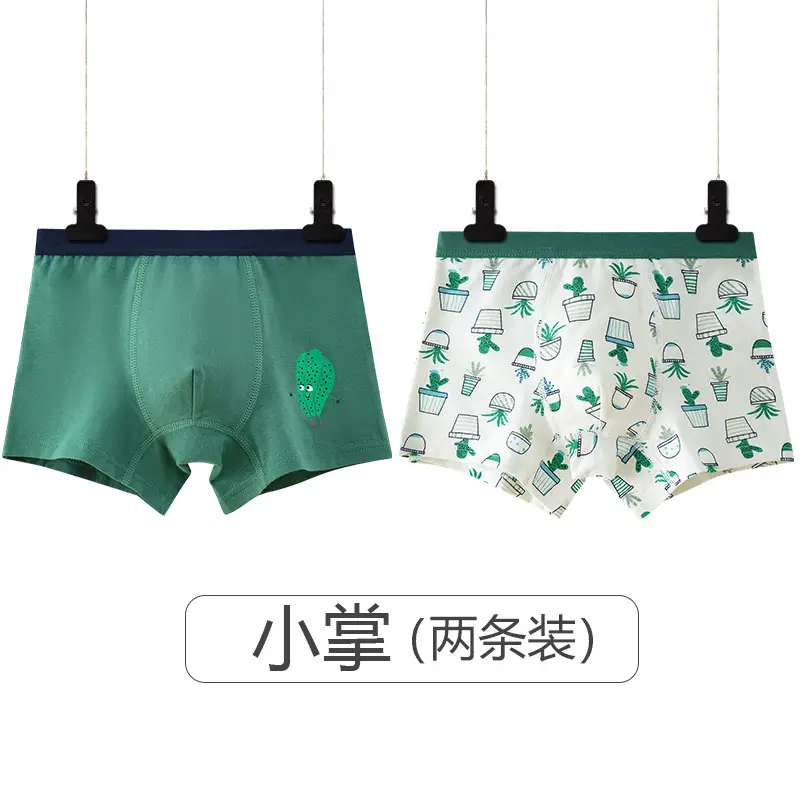 2-4 Boys Cotton Boxer Briefs Cartoon Antibacterial - Image 5