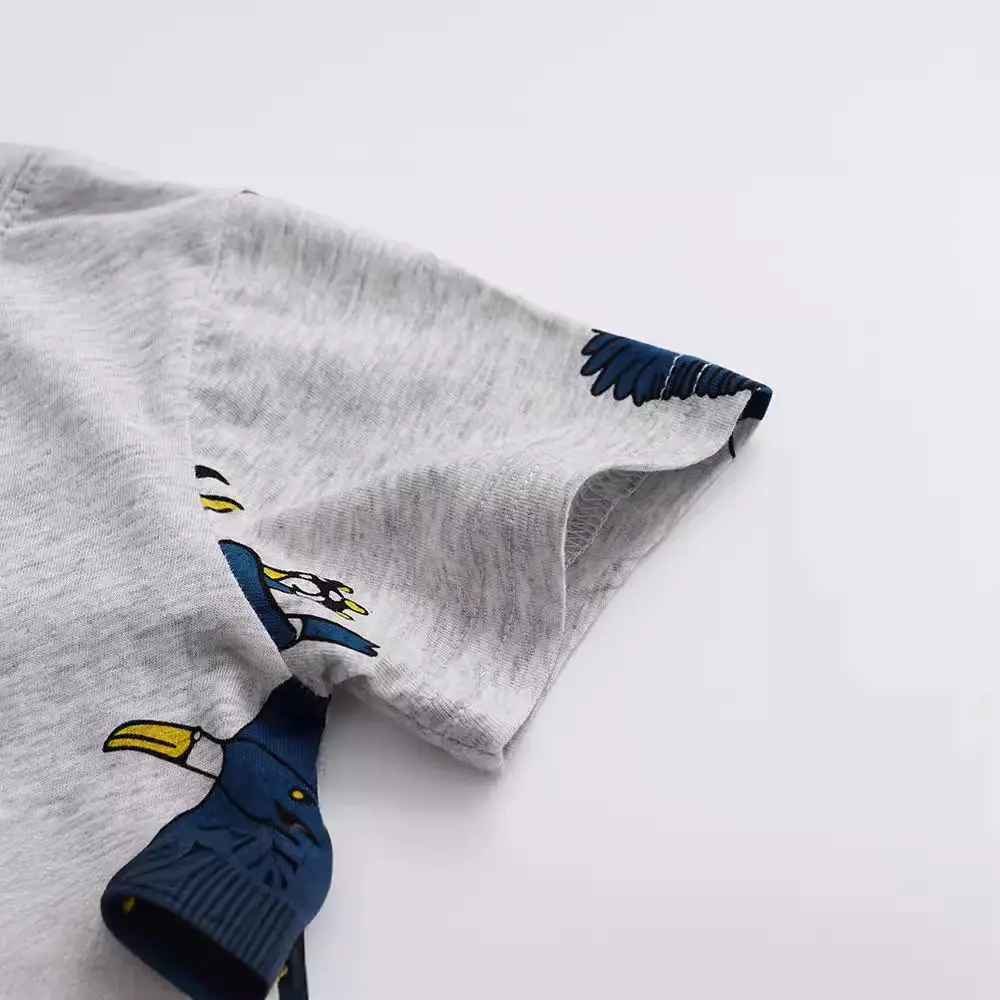 Kids Eagle Print T-Shirt Grey Summer Wear