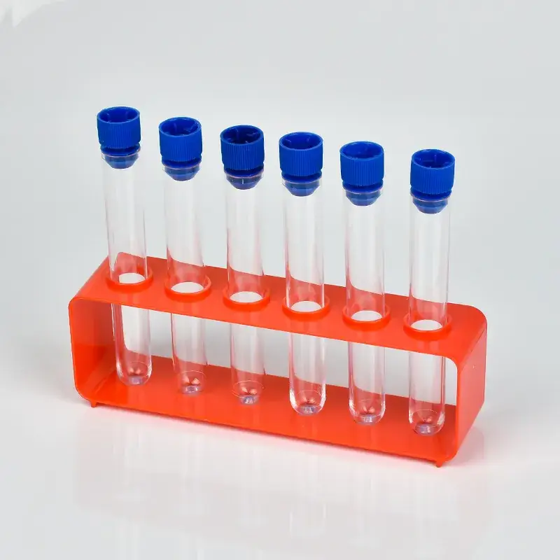 6-Hole Plastic Test Tube Rack for Kids Science Lab