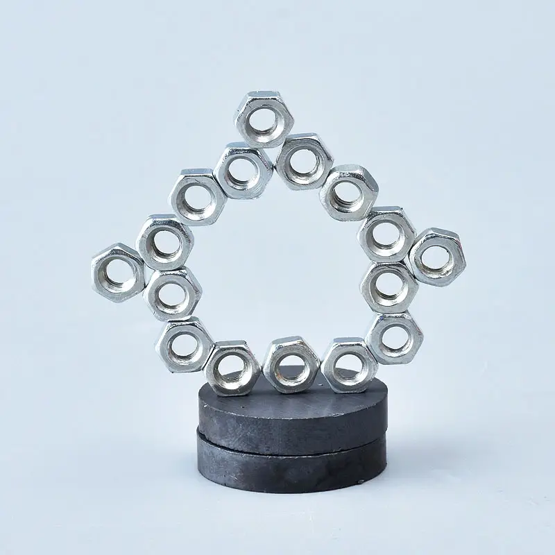 Magnetic Tree for Kids Homework Toy