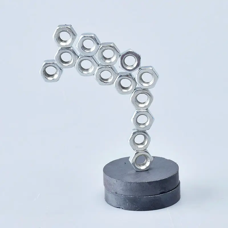 Magnetic Tree for Kids Homework Toy