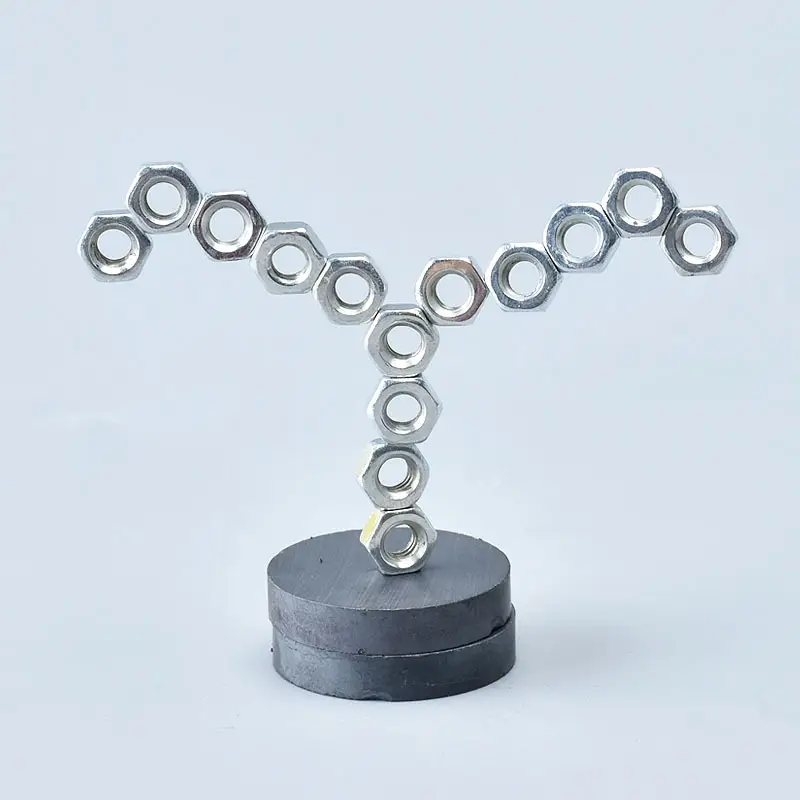 Magnetic Tree for Kids Homework Toy
