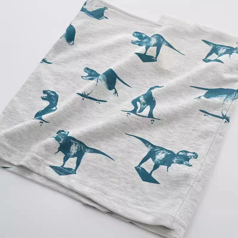 Boys Dinosaur Printed T-Shirt Grey Short Sleeve - Image 4