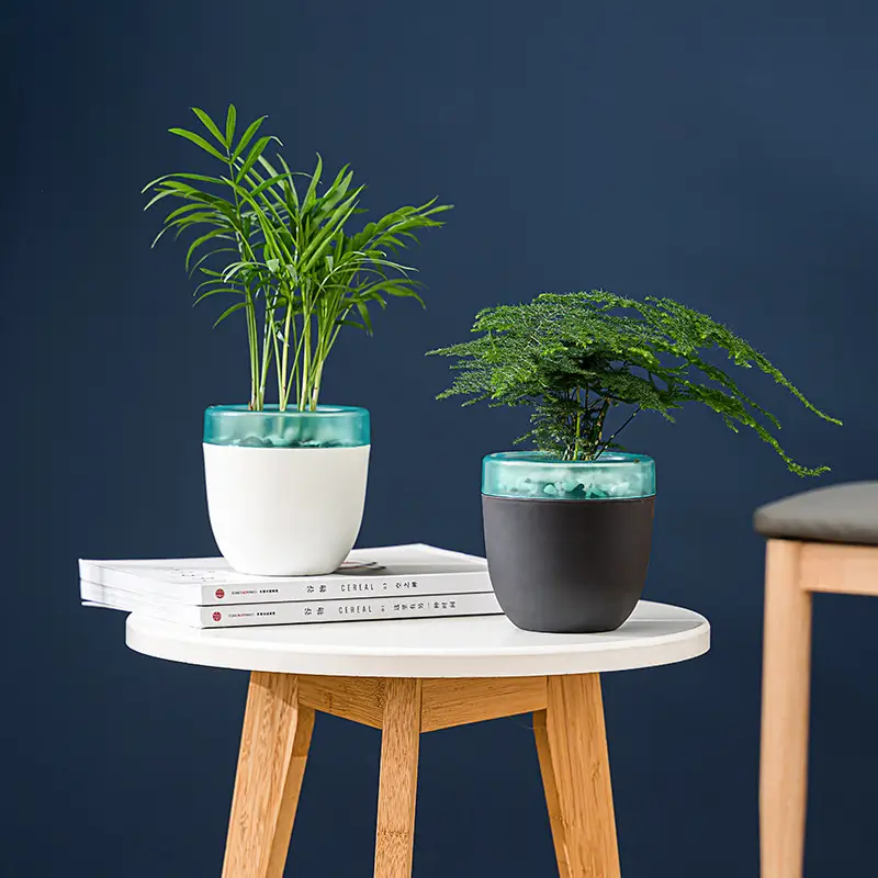 Automatic Water-Absorbing and Water-Storing Flower Pot, Plastic Material, Self-Watering for Succulent Plants, Nordic Style Desktop Model