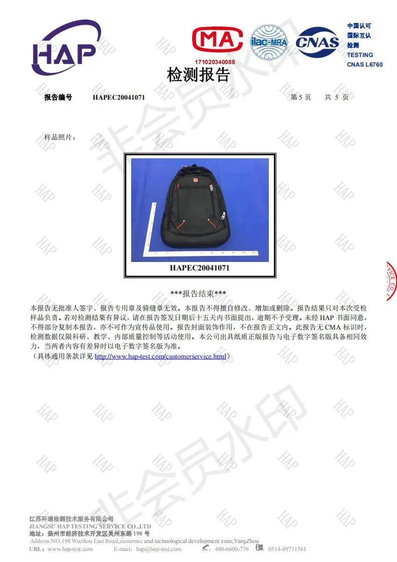 Cross-Border Business Casual Backpack, Laptop Bag, Printable Wholesale Large-Capacity Outdoor Travel Backpack — feature 2