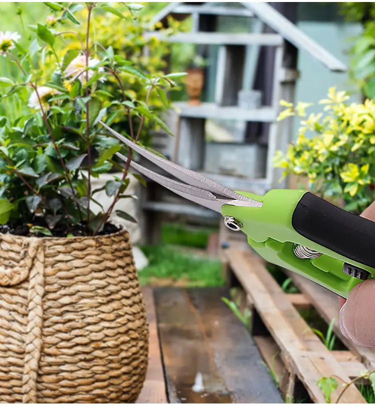 Stainless Steel Fruit Branch Shears Gardening Flower Arrangement Orchard Pruning Shears Multi-Purpose Gardening Scissors — feature 19