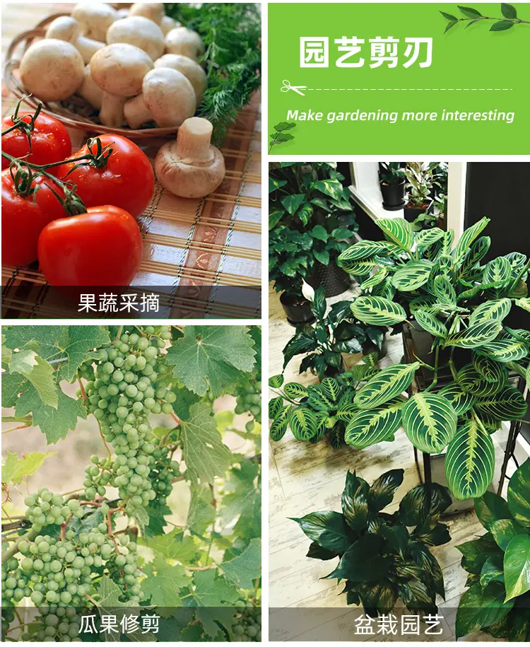 Stainless Steel Fruit Branch Shears Gardening Flower Arrangement Orchard Pruning Shears Multi-Purpose Gardening Scissors — feature 5