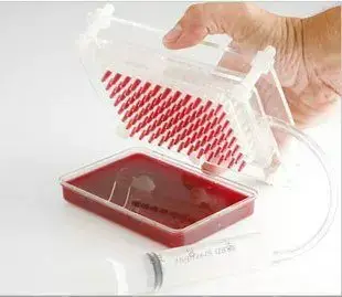 Fish Roe Maker Molecular Box for Gourmet Cooking — feature 6