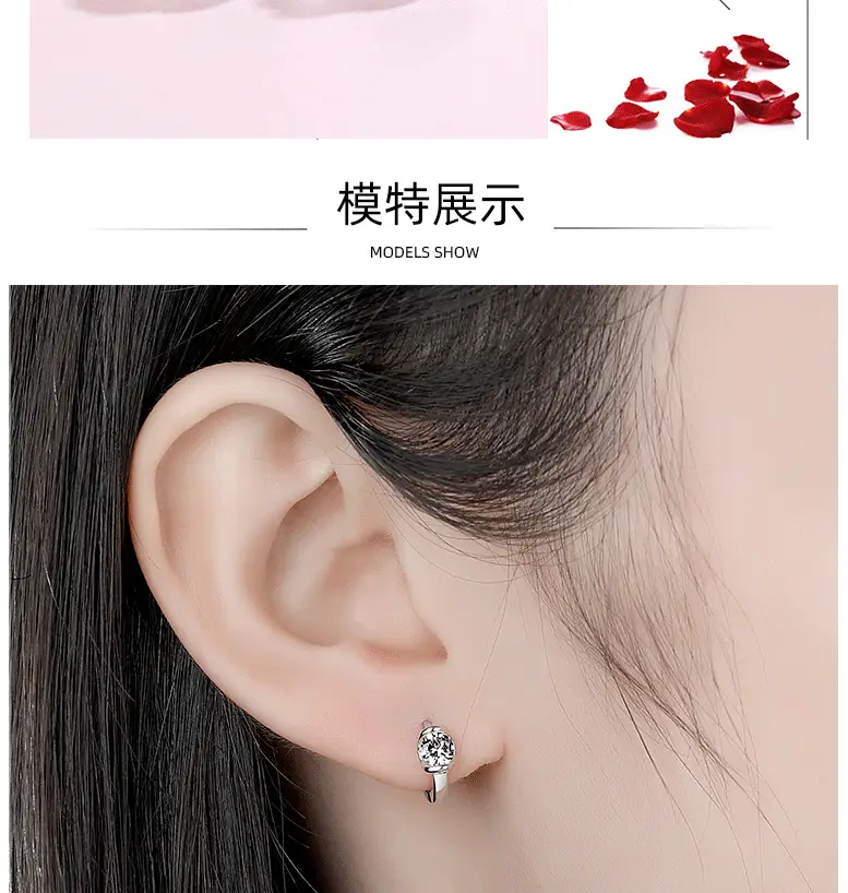 S925 Sterling Silver Crystal Earrings Geometric Round — feature 24