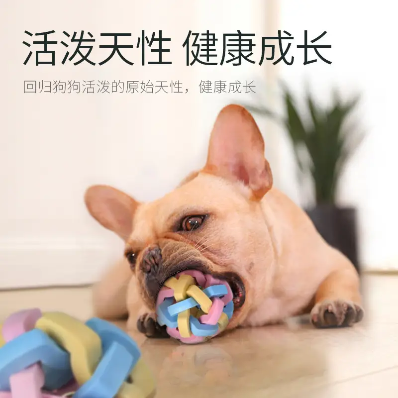 Pet Toys for Dogs and Puppies, Durable Chew Toys, Squeaky Toy Balls, Cat Toys, Pet Balls, Animal Bite-Resistant, Cute