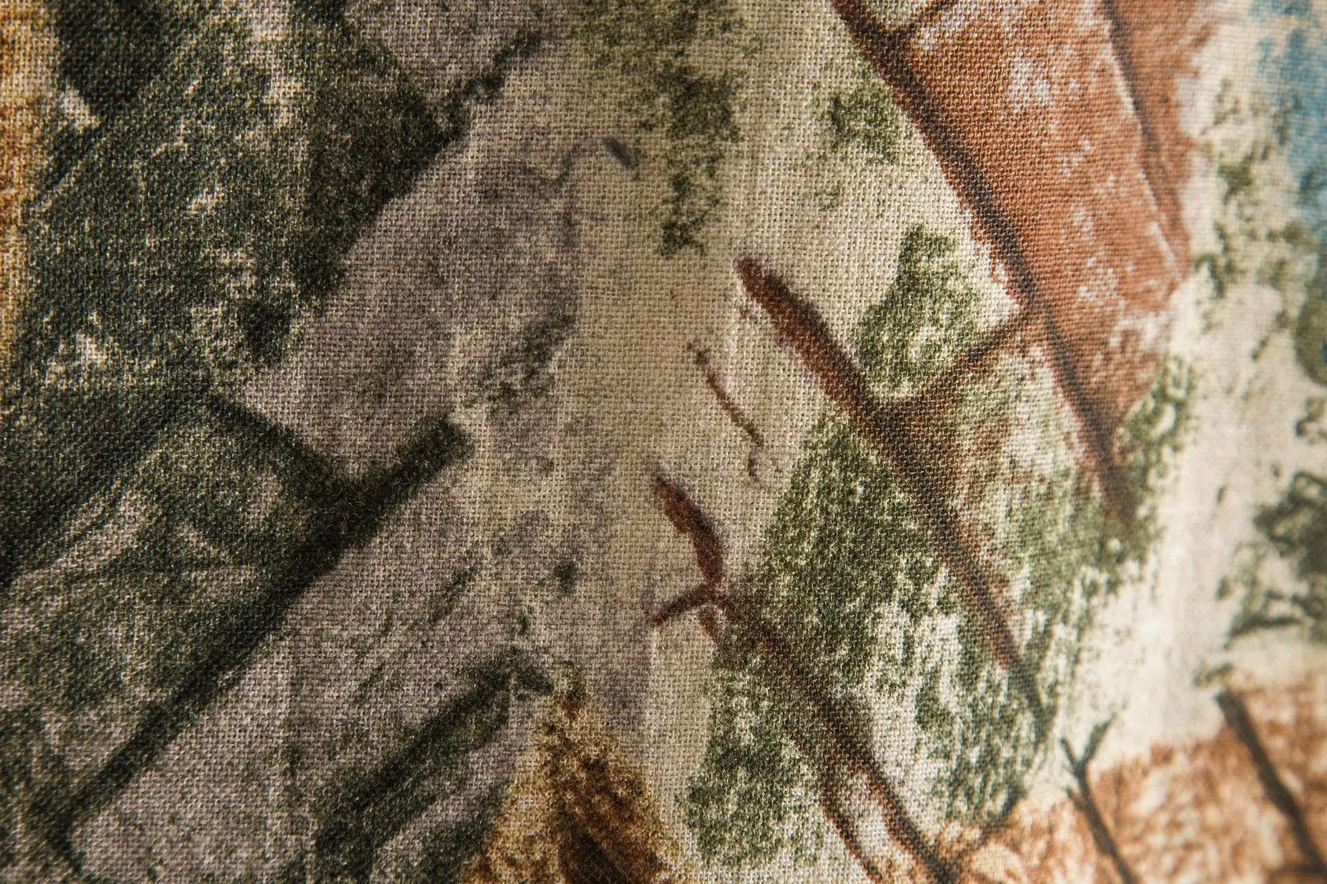 CS29