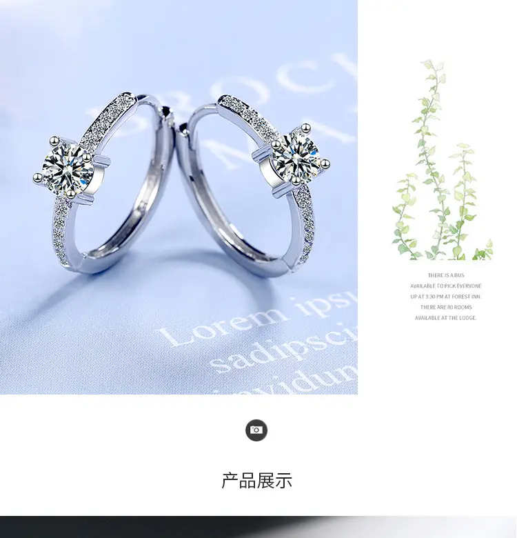 Elegant Zircon Crown Earrings for Women — feature 4