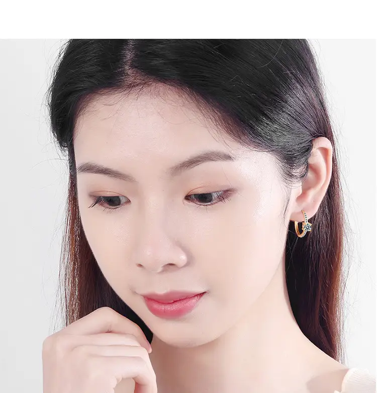 Elegant Zircon Crown Earrings for Women — feature 6