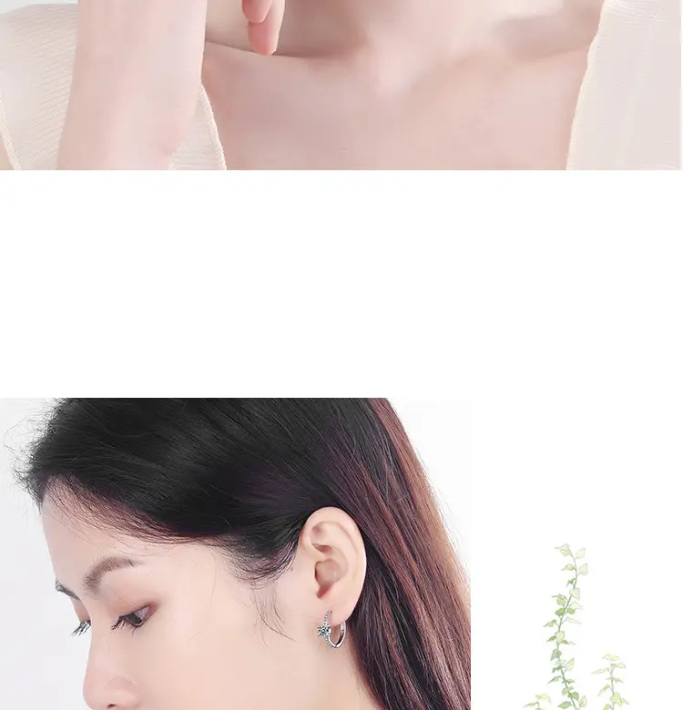 Elegant Zircon Crown Earrings for Women — feature 7