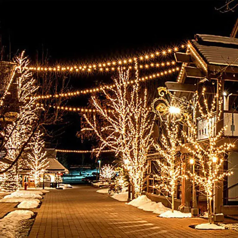 Outdoor Waterproof Cross-Border LED String Lights for Wedding & Holiday Decor - Image 2