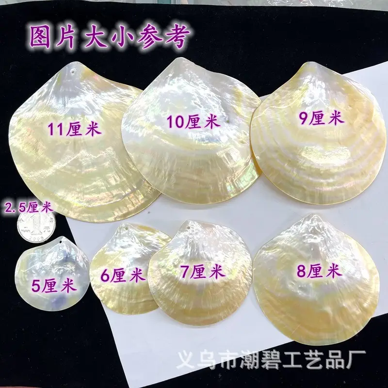 Butterfly Shell Decorative Craft 6-10cm - Image 5