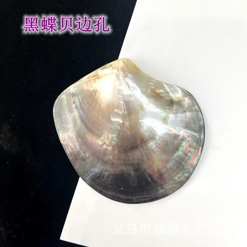 Butterfly Shell Decorative Craft 6-10cm - Image 3