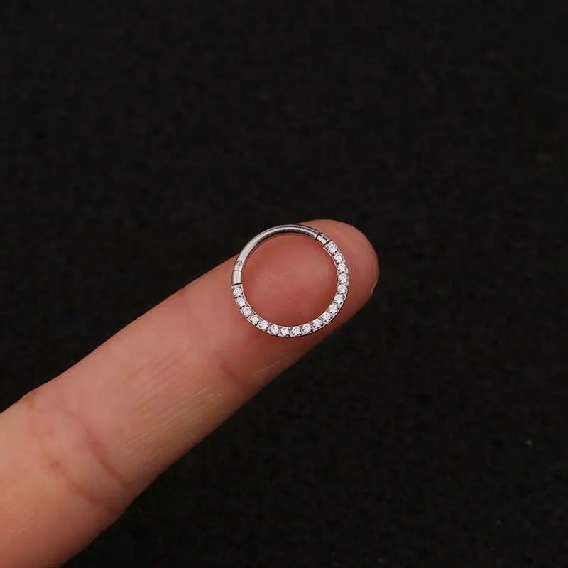 Pure Stainless Steel Zircon Closed Ring Earrings - Image 4