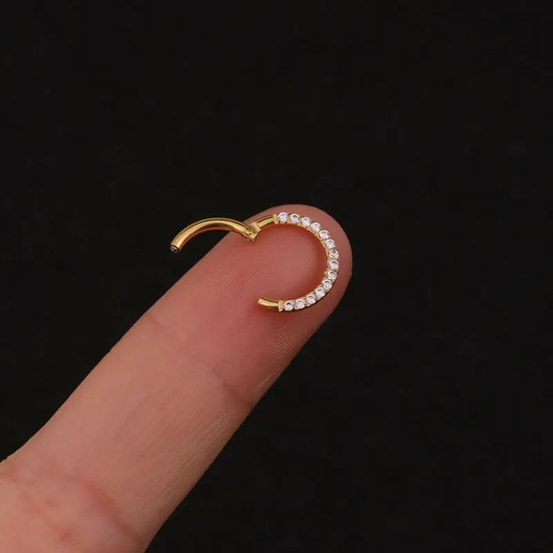 Pure Stainless Steel Zircon Closed Ring Earrings - Image 5