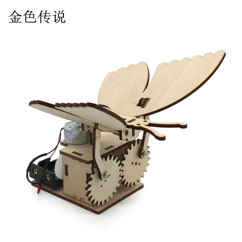 Handassembled Science Toy for Kids Educational Model
