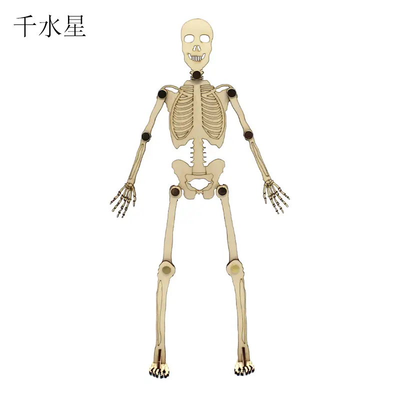 Handassembled Science Toy for Kids Educational Model