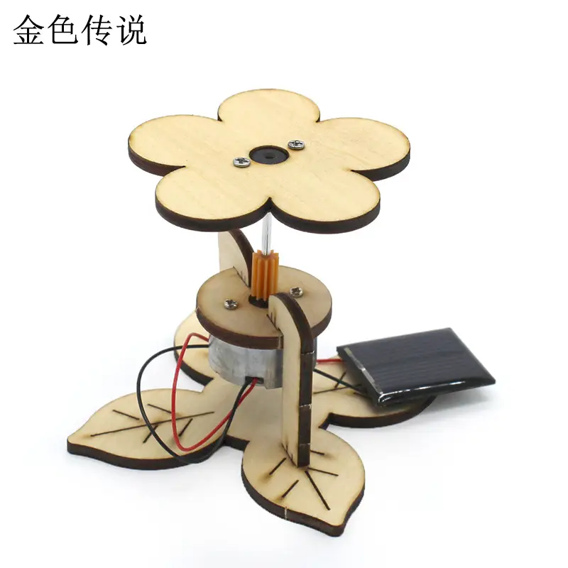 Handassembled Science Toy for Kids Educational Model