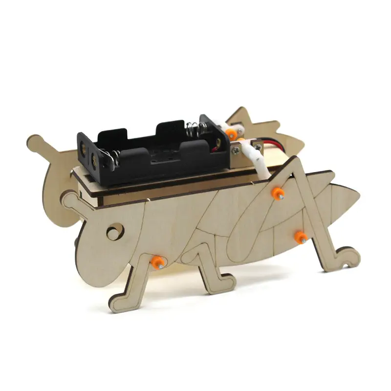 Handassembled Science Toy for Kids Educational Model