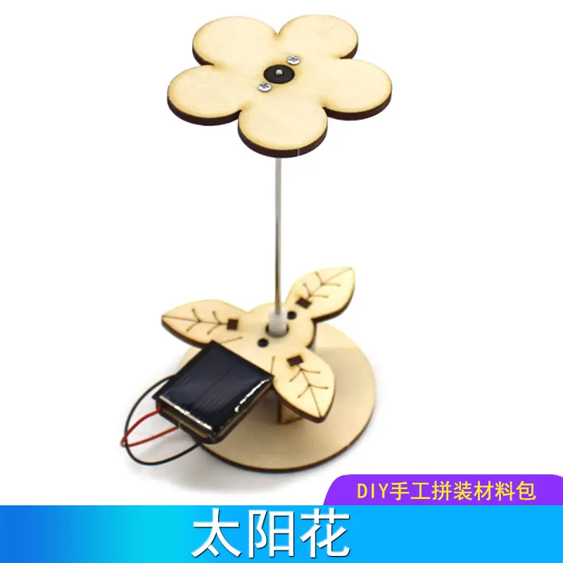Handassembled Science Toy for Kids Educational Model