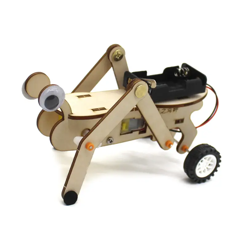 Handassembled Science Toy for Kids Educational Model