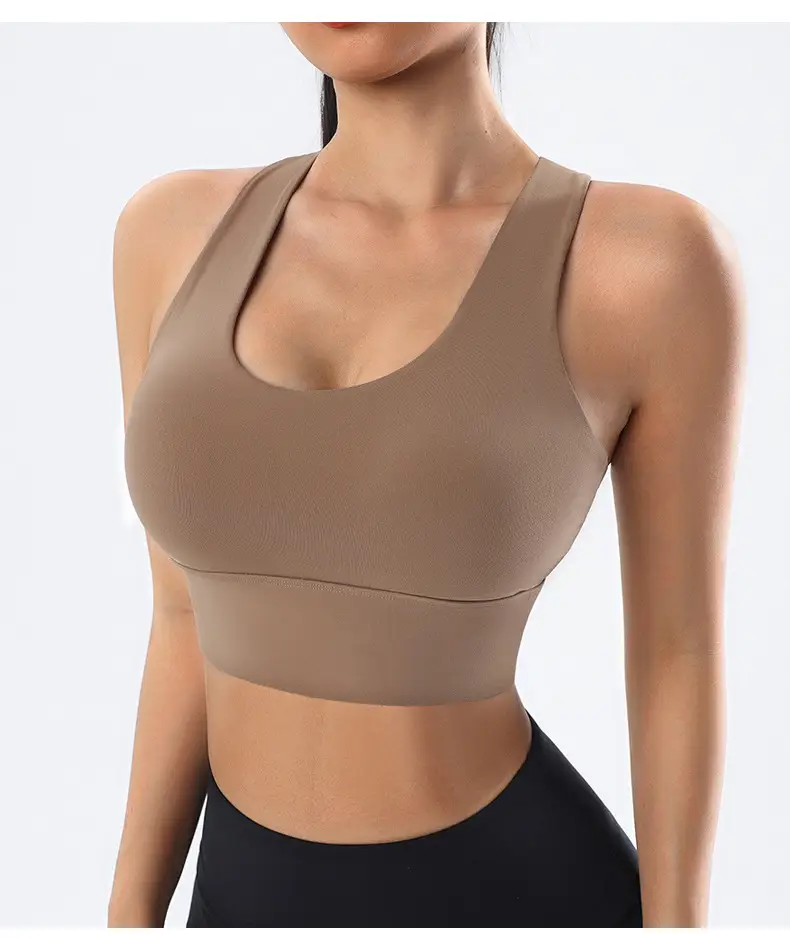 Dc High-Intensity Back-Beautiful Sports Bra for Women Shock-Proof Running Push-Up Anti-Sagging Fitness Vest Yoga Large Size Bra — feature 24
