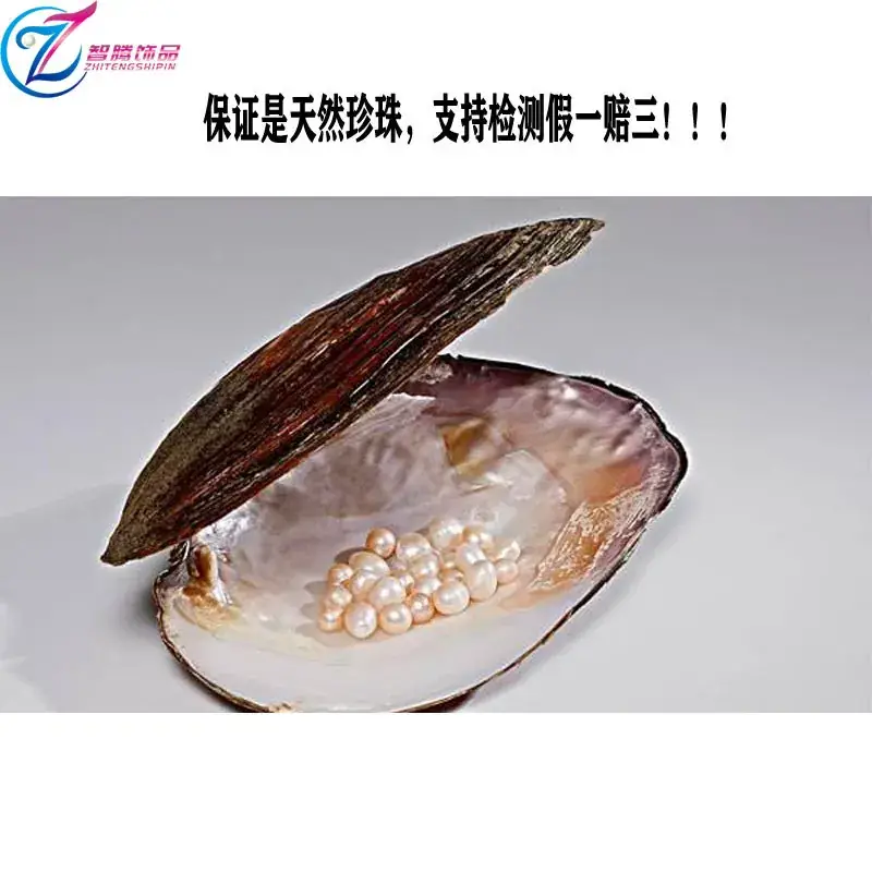 Real Pearl Earrings for Women S925 Sterling Silver - Image 7