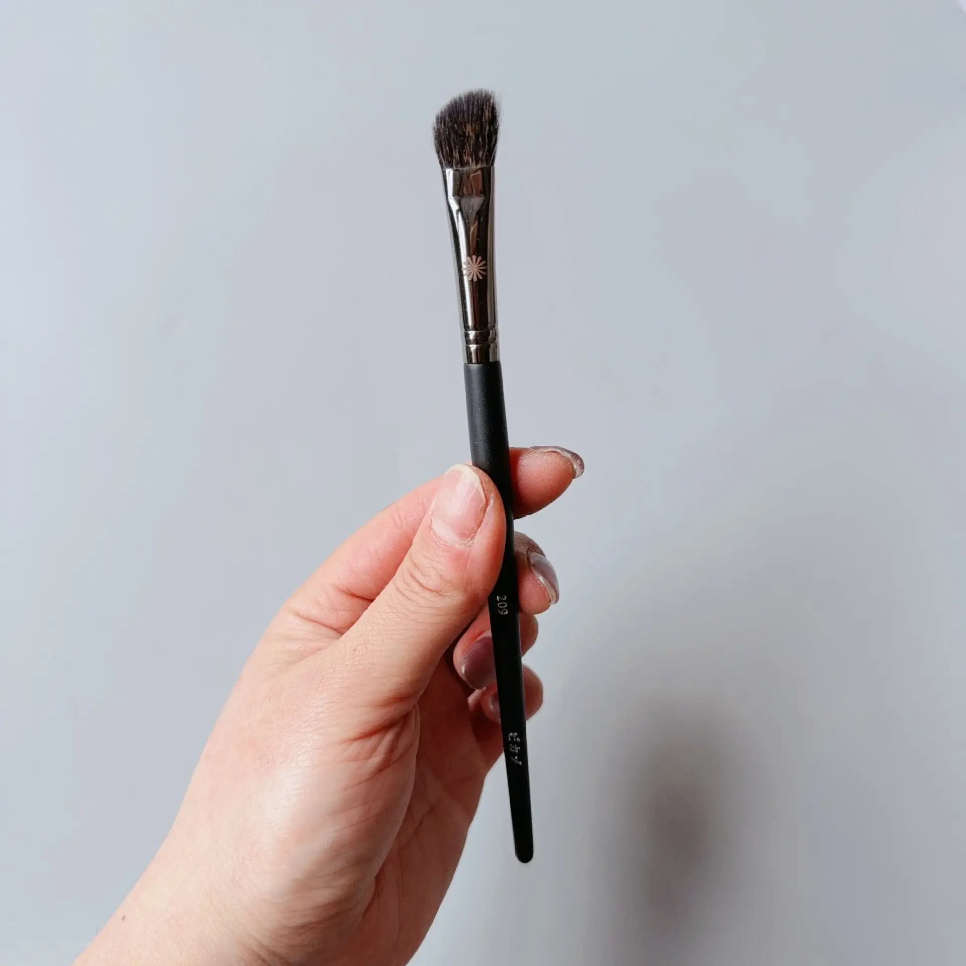 209 Small Bevel Nose Brush