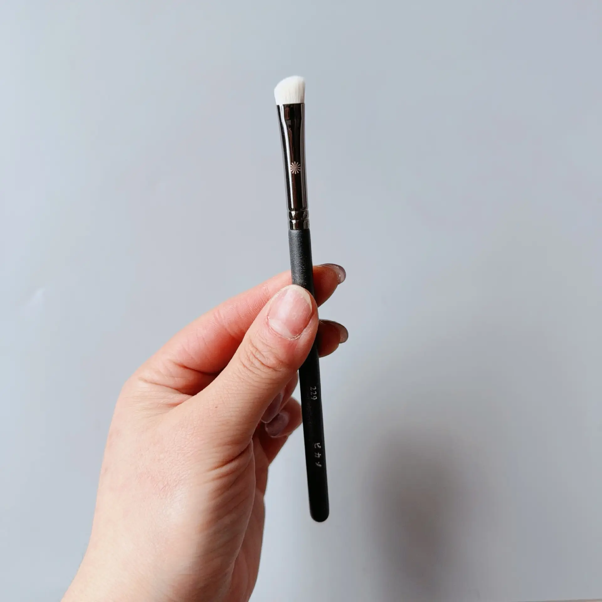 Bijia Full Series Makeup Brush 133224 FB18 Loose Powder Blush Eye Shadow - Image 18