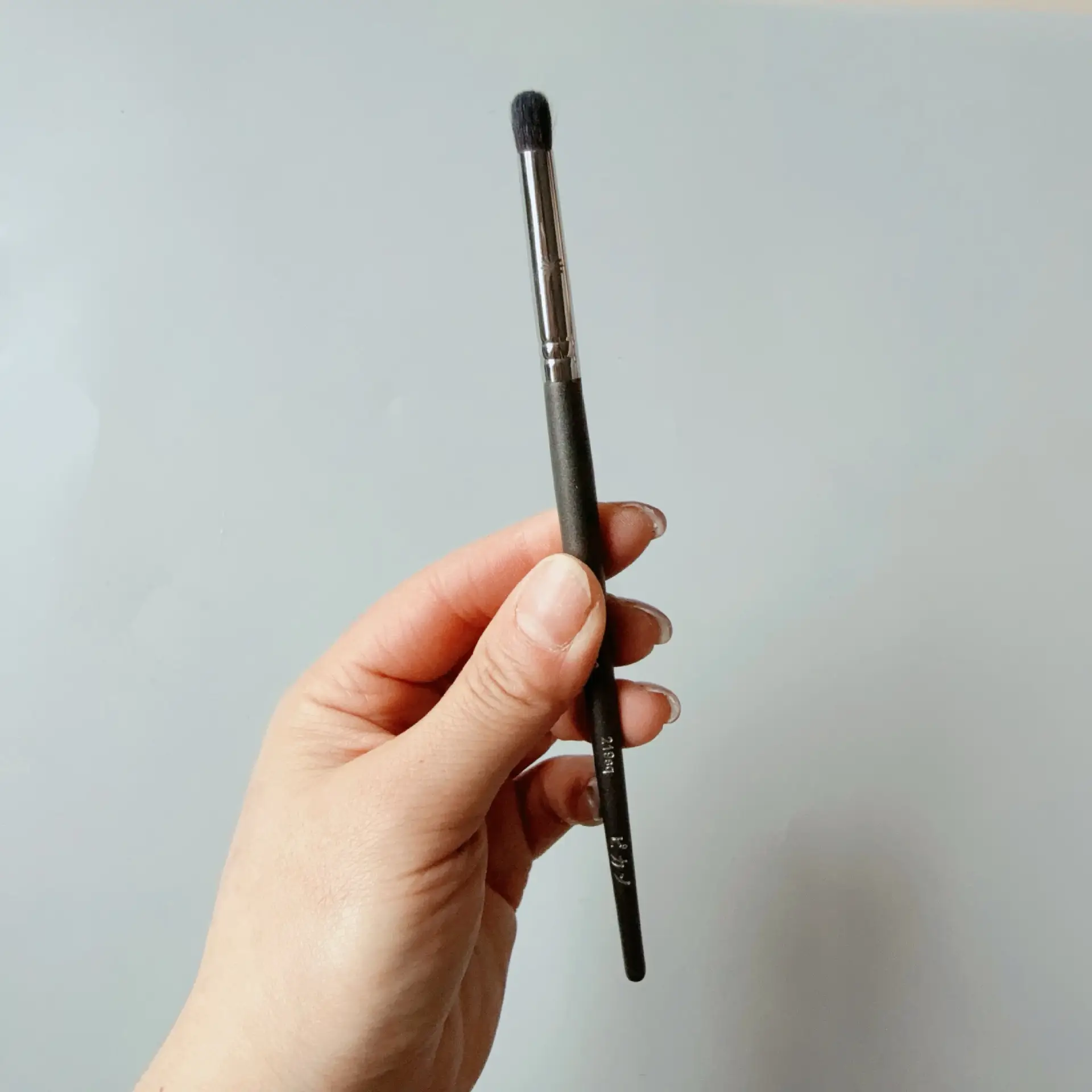 219Sq eye socket lying silkworm brush
