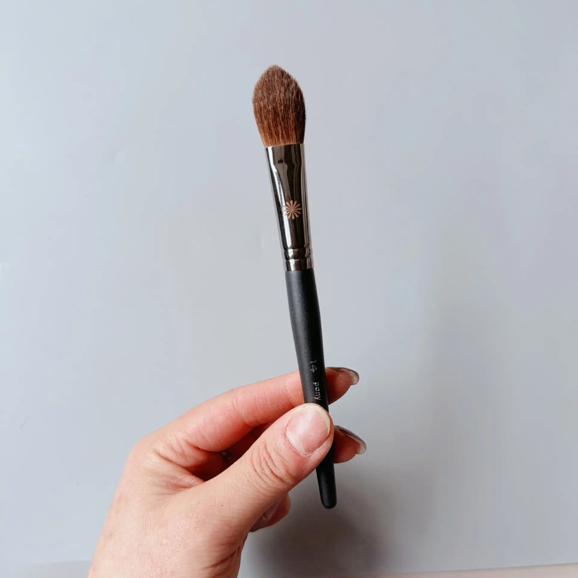 14 Highlight Blush Brush