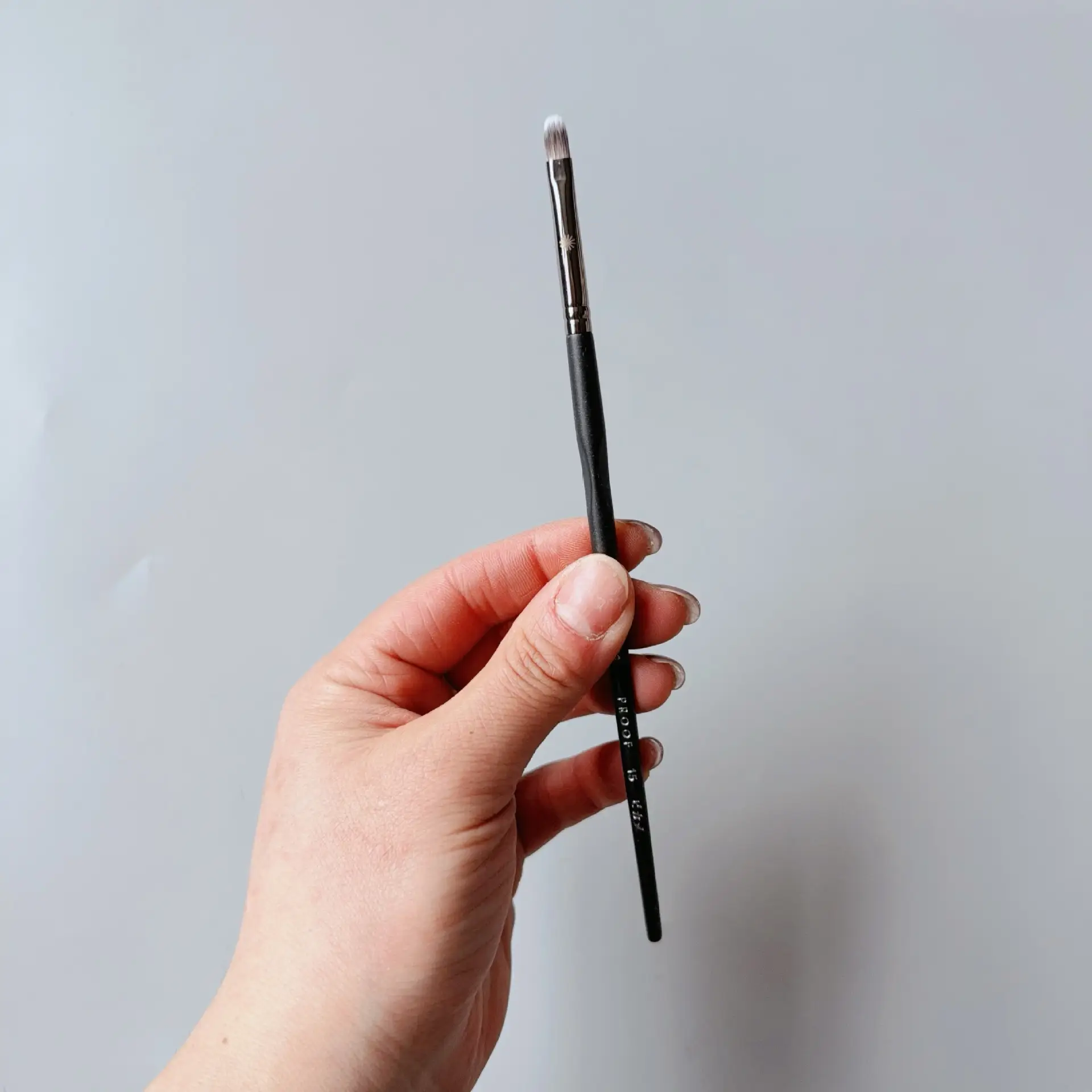 15 Small Concealer Brush